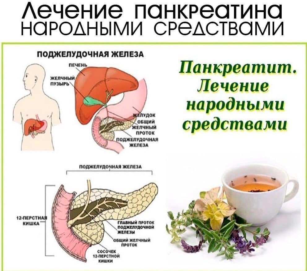 Лекарство для поджелудочной железы