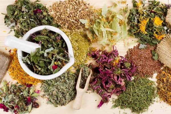 какие лекарственные травы можно попить для лечения хронического панкреатита