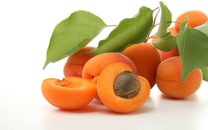 абрикосы можно при панкреатите
