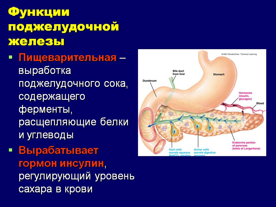 дополнительная поджелудочная железа в желудке