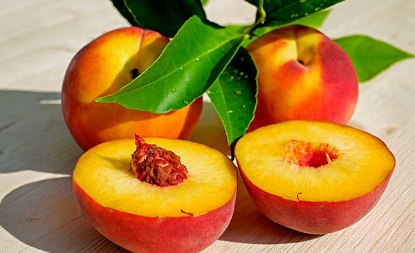 можно ли есть свежие персики при больной поджелудочной