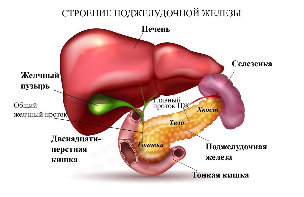 можно ли прополис при панкреатите